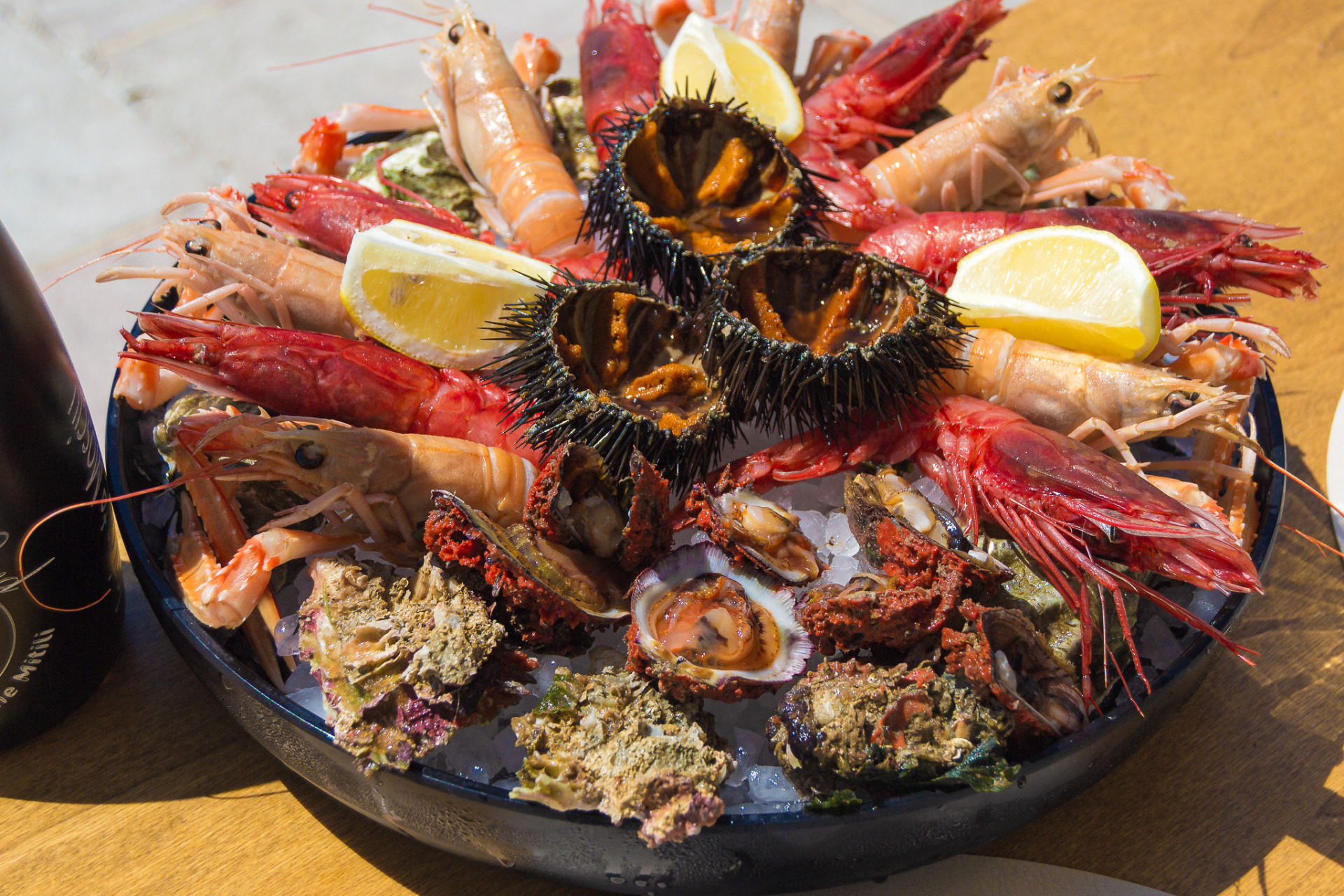 Crudità di mare a Gallipoli: gamberi viola, ricci di mare, scampi e frutti di mare